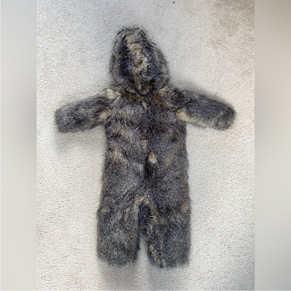 Pottery Barn Kids Rare Hedgehog Costume - LIKE NEW - Picture 4 of 6